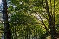 2017_08_05_Auvergne (0042)